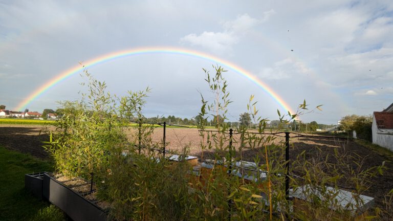Bienenstand mit Regenbogen